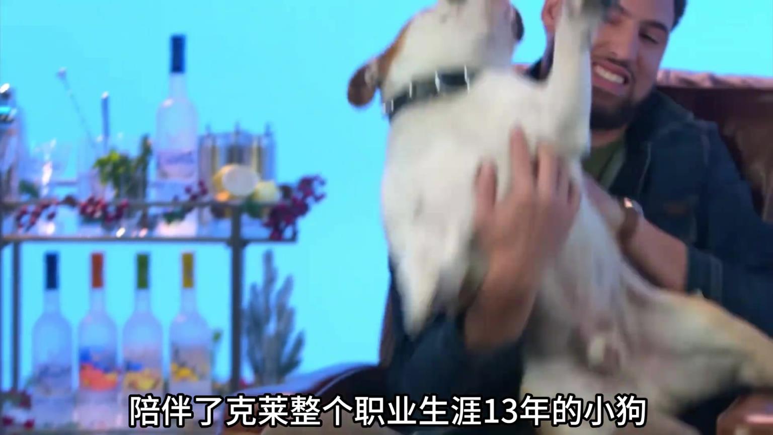 陪伴克萊13年的小狗去世了<div   id=